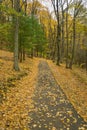 Autumn View of a Handicap Accessible Woodland Trail Royalty Free Stock Photo