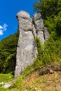 Bedkowska Baszta rock known as Dupa Slonia - ElephantÃ¢â¬â¢s Ass - in Bedkowska Valley near Cracow in Lesser Poland