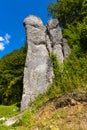 Bedkowska Baszta rock known as Dupa Slonia - ElephantÃ¢â¬â¢s Ass - in Bedkowska Valley near Cracow in Lesser Poland Royalty Free Stock Photo