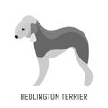 Bedlington terrier. Dog, flat icon. Isolated on white background.