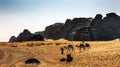 Bedoin Camels Yellow Sand Valley of Moon Wadi Rum Jordan Royalty Free Stock Photo