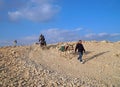 Bedouin Arabs