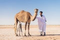 Bedouin, Baby camel and mother camel in Sahara desert among the small sand dunes, beautiful wildlife near oasis. Camels walking in