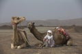 Bedouin boy with his camels