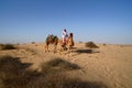 Bedouin on Camel