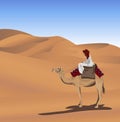 Bedouin and Camel