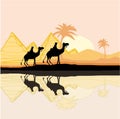 Bedouin camel caravan Royalty Free Stock Photo