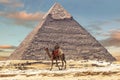 Bedouin on camel near Pyramid of Khafre or of Chephren in Giza, Egypt Royalty Free Stock Photo