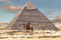 Bedouin on camel near Pyramid of Khafre or of Chephren in Giza, Egypt