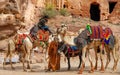 Bedouin on camel in Petra Jordan 20 February 2020