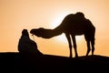 Bedouin and camel on way through sandy desert Beautiful sunset with caravan on Sahara, Morocco Desert with camel and nomads Royalty Free Stock Photo