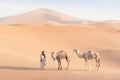 Bedouin and camel on way through sandy desert Nomad leads a camel Caravan in the Sahara during a sand storm in Morocco Desert. Royalty Free Stock Photo