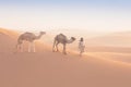 Bedouin and camel on way through sandy desert Nomad leads a camel Caravan in the Sahara during a sand storm in Morocco Desert.