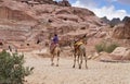 Bedouin camels at Petra archaeological park