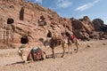 Bedouin camels taking a rest at Petra, Jordan Royalty Free Stock Photo