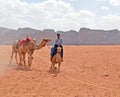 Bedouin Camels Royalty Free Stock Photo