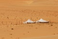 Bedouin camp Royalty Free Stock Photo