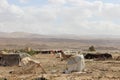 Bedouin camp in Jordan