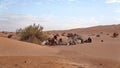 Bedouin camp in the Sahara Desert