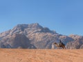 A Bedouin caravan riding a camel in the Desert of Wadi Rum, red and orange sand dune landscape, UNESCO World Heritage site, Royalty Free Stock Photo