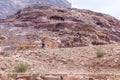 Bedouin - the driver rides a donkey and holds three camels in Petra - the capital of the Nabatean kingdom in Wadi Musa city in Jor