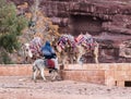 Bedouin - the driver sits a donkey and holds three camels in Petra - the capital of the Nabatean kingdom in Wadi Musa city in Jord