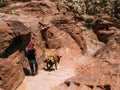 A Bedouin Guide in Petra Royalty Free Stock Photo