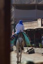 Bedouin on his camel, Blue Hole, Dahab