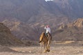 Bedouin on his camel, Blue Hole, Dahab