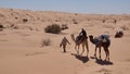 Bedouin man leading a camel on a camel trek