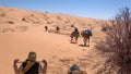 Bedouin man leading a camel on a camel trek