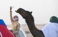 Bedouin man offering his camel a drink from a water bottle at the million street where camels are being bought and sold