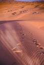 Bedouin nomad tent camp, Erg Chebbi, Morocco Royalty Free Stock Photo