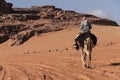 Bedouin nomads camp with camels