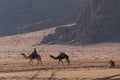 Bedouin nomads camp with camels