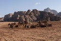 Bedouin nomads camp with camels Royalty Free Stock Photo