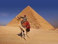 Bedouin and Pyramid Royalty Free Stock Photo