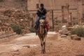 Bedouin riding a Camel in Petra, Jordan Royalty Free Stock Photo