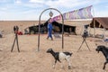 Bedouin settlement with entrance gate and stretch tent on Agafay desert, Morocco