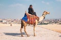 Bedouin sitting on a camel near the Egyptian pyramids