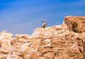 Bedouin sitting on the peak of a high stone rock against a blue sky in Egypt Dahab South Sinai