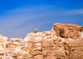 Bedouin sitting on the peak of a high stone rock against a blue sky in Egypt Dahab South Sinai