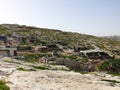 Bedouin village with flock