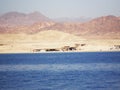 Bedouin village in the Sinai desert