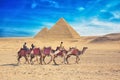 Bedouins on camel near of great pyramid in egypt