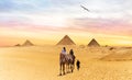 Bedouins on camels going to the Pyramids of Giza, Egypt Royalty Free Stock Photo