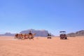 Bedouins, camels, offroad trip in the desert