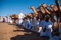 Bedouins camels Royalty Free Stock Photo