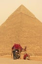 Bedouins resting near Pyramid of Khafre during sand storm, Cairo Royalty Free Stock Photo