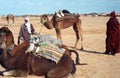 Bedouins, Zaafrane, Tunisia Royalty Free Stock Photo